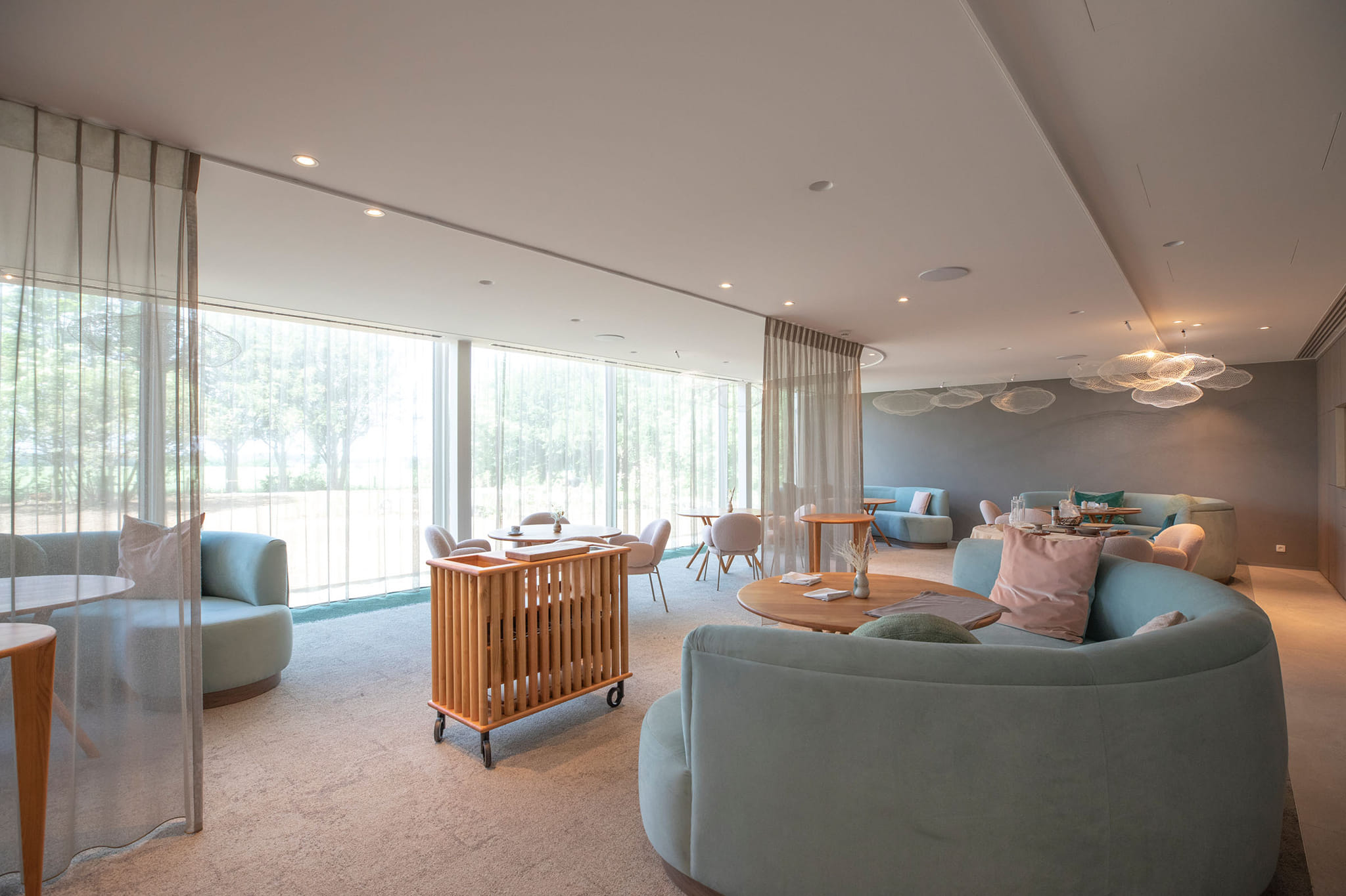 492004000_1424816122028863_738444237969258424_n